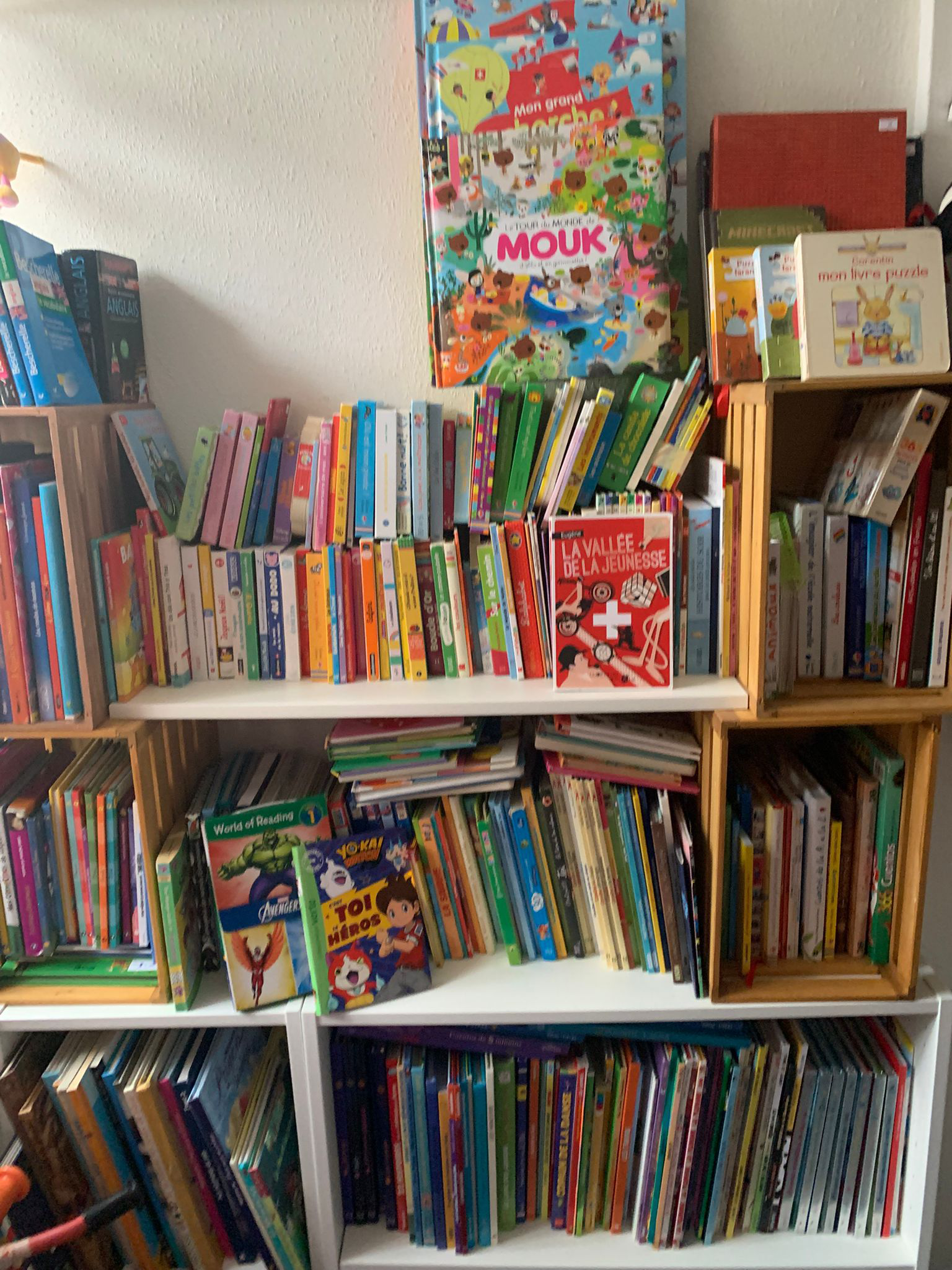 Arrivage visuel 16